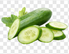 ما هي فوائد المستخلصات النباتية؟